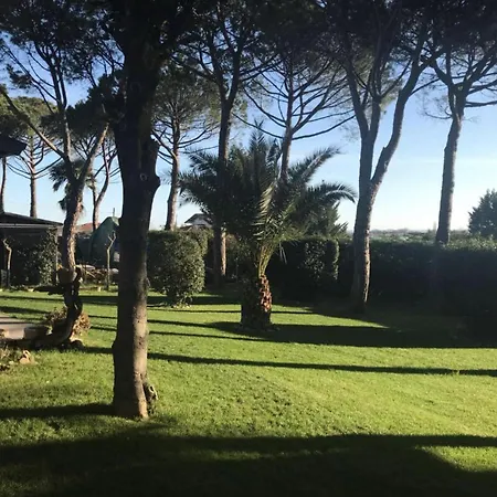 Nocleg ze śniadaniem Parco Degli Ulivi