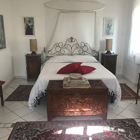 Parco Degli Ulivi Misano Adriatico