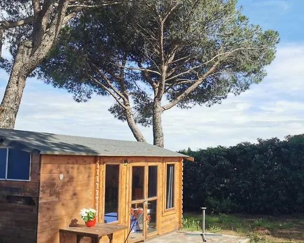 Parco Degli Ulivi Oda ve Kahvaltı Misano Adriatico