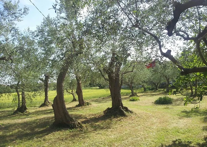 Parco Degli Ulivi Oda ve Kahvaltı Misano Adriatico