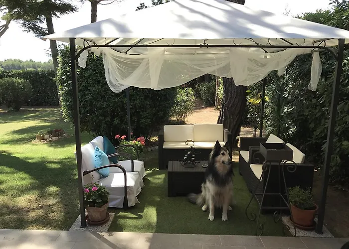 Parco Degli Ulivi Oda ve Kahvaltı Misano Adriatico