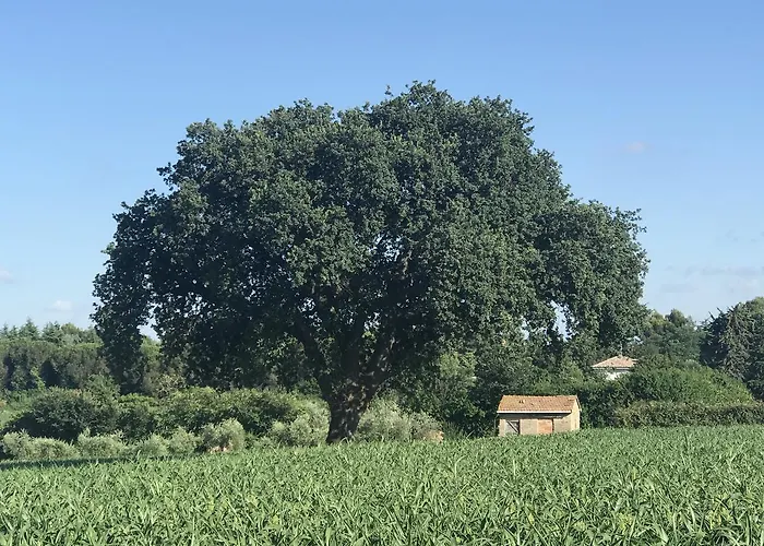 Oda ve Kahvaltı Parco Degli Ulivi 3*