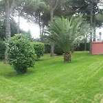 Bed & Breakfast Parco Degli Ulivi 3*