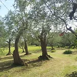 Parco Degli Ulivi Bed & Breakfast Misano Adriatico