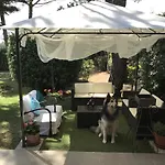 Parco Degli Ulivi Bed & Breakfast Misano Adriatico