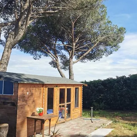 Parco Degli Ulivi לינה וארוחת בוקר מיסאנו אדריאטיקו