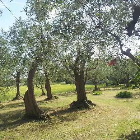 Parco Degli Ulivi לינה וארוחת בוקר מיסאנו אדריאטיקו