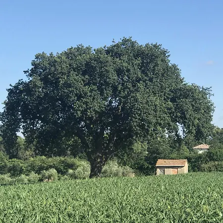 Alojamento de Acomodação e Pequeno-almoço Parco Degli Ulivi 3*