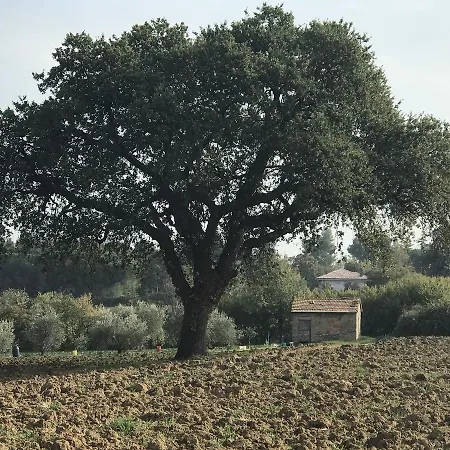 Parco Degli Ulivi מיסאנו אדריאטיקו