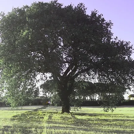 Parco Degli Ulivi Oda ve Kahvaltı *