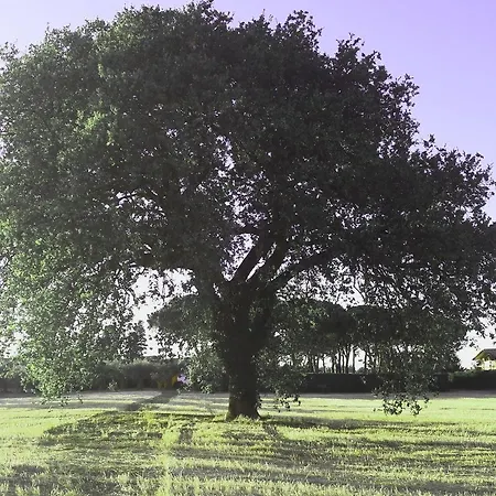 Parco Degli Ulivi לינה וארוחת בוקר 3*