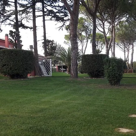לינה וארוחת בוקר Parco Degli Ulivi מיסאנו אדריאטיקו