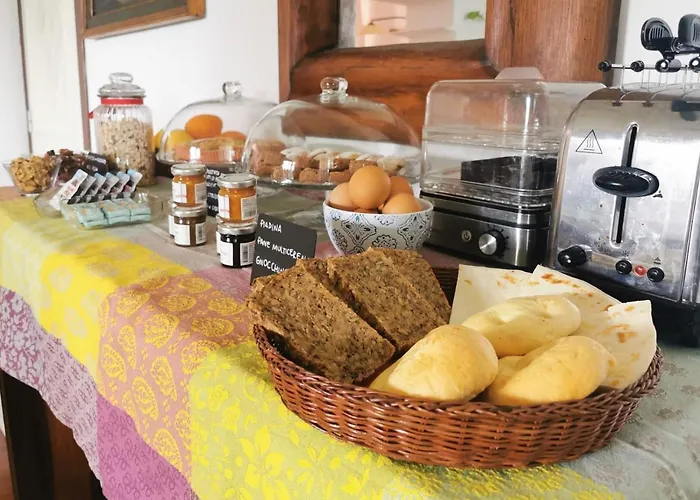 Parco Degli Ulivi Misano Adriatico