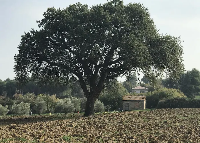 Parco Degli Ulivi Мизано-Адриатико