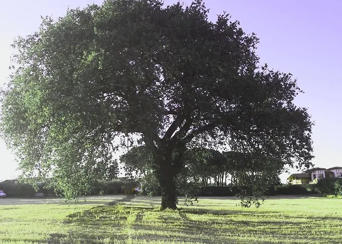 Parco Degli Ulivi Отель типа 